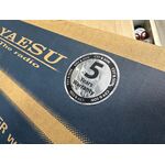 YAESU FT 710 AESS HF E 50 MHZ ALL MODE COME NUOVO 2025 GARANZIA CSY AND SON RESIDUA 4 ANNI CON IMBALLO