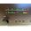 ACOM 1010 LINEARE HF OTTIMO DOPPIO IMBALLO
