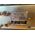 DAIWA CNW 419 ACCORDATORE MANUALE HF 200 WATT PEP OTTIMO