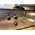 MFJ-986 ACCORDATORE ANTENNA MANUALE HF  ASIM /SIM/ LONGWIRE 1500W PEP OTTIMO