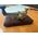 TASTO TELEGRAFICO CW VERTICALE OTTONE LEGNO