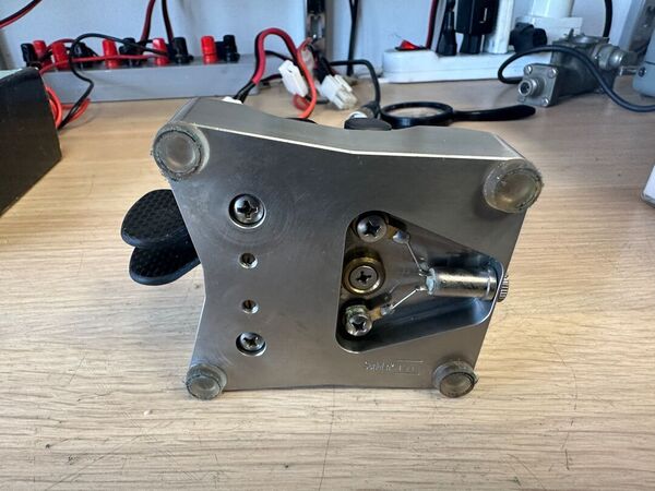 BEGALI LEONESSA DUAL PADDLE KEYS COME NUOVO CON SIGLA E DEDICA